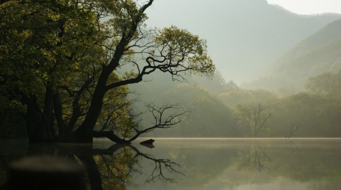 Wayanad Hills